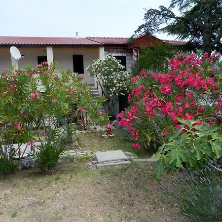 Katarina * Betina (Sibenik-Knin)