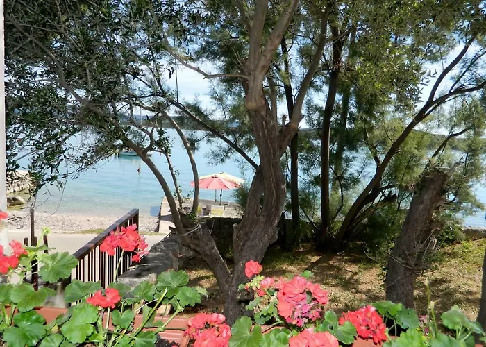 Katarina * Бетина